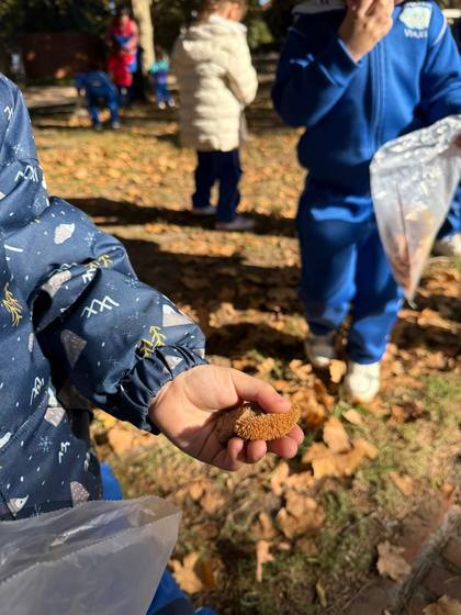 Juegos en otoño