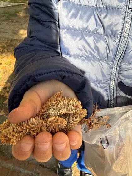 Juegos en otoño